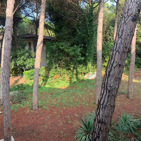 In 40761 * エラクレア・マーレ