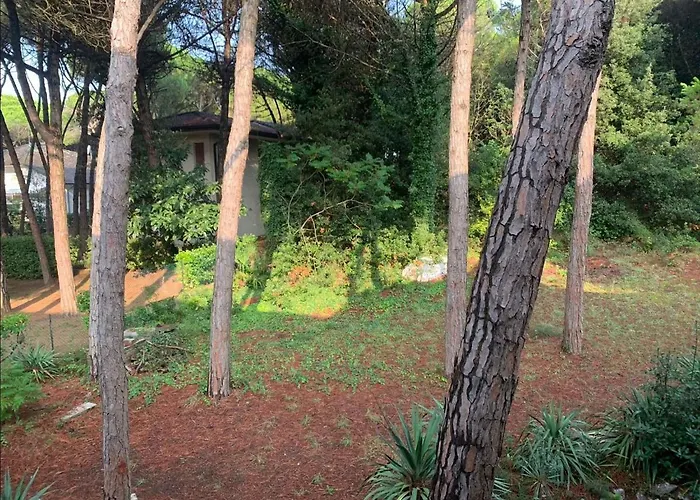 In 40761 * ايراكليا ماري